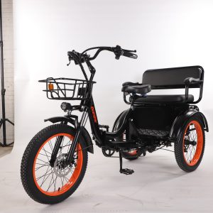 Electric tricycles for urban leisure, sightseeing, and elderly transportation